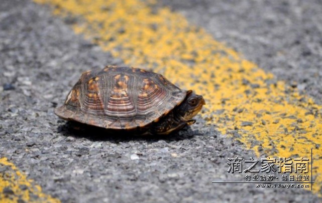 越快越亏？特惠单计时计价后，网约车司机越开越慢？！